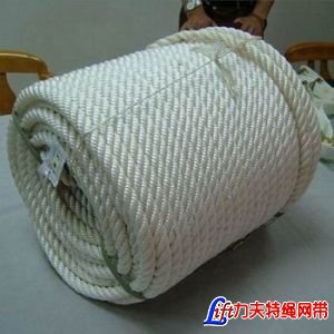 涤纶绳_编织涤纶绳_涤纶安全绳_涤纶圆绳_涤纶缆绳_涤纶船用缆绳