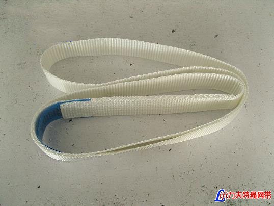 Single Use Endless Lifting Sling-Single Use One Way Lifting Sling