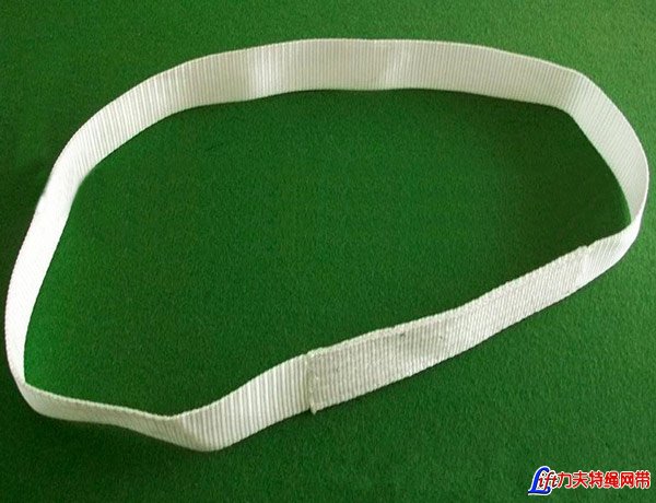 One Way Single Ply Endless Polyester Flat Webbing Sling