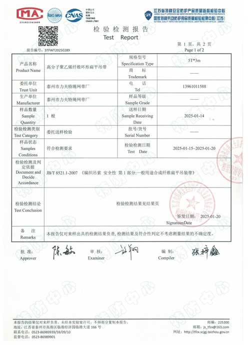 <strong>5吨3米高分子聚乙烯纤维环形扁平吊带</strong>